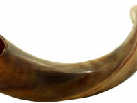 Horn Shofar